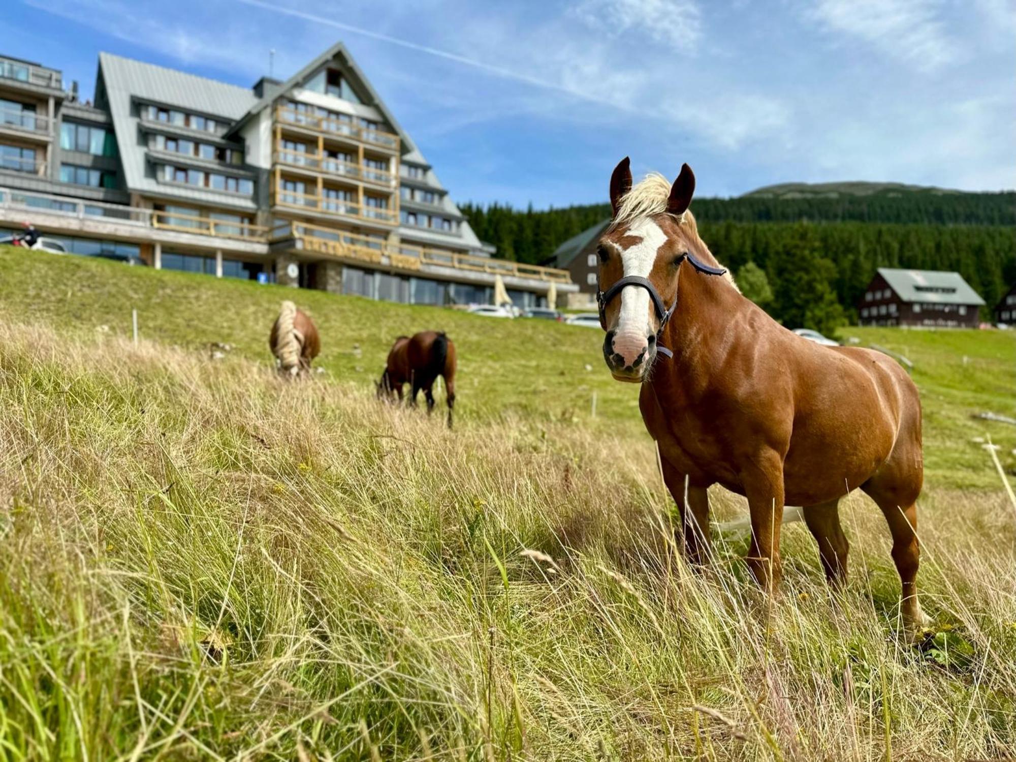 Erlebachova Bouda, Hotel - Resort Svaty Frantisek Шпиндлерув-Млин Экстерьер фото